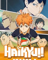 Haikyu - Chàng khổng lồ tí hon (Phần 2)