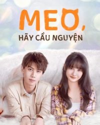 Meo, Hãy Cầu Nguyện