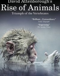 Phim David Attenborough’s Rise of Animals: Triumph of the Vertebrates data-eio=