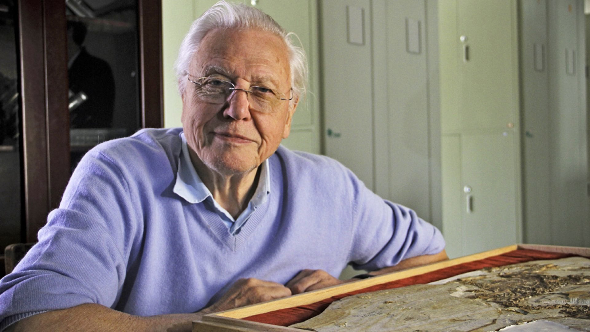 Phim David Attenborough’s Rise of Animals: Triumph of the Vertebrates