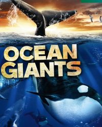Phim Ocean Giants data-eio=