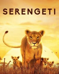 Phim Serengeti data-eio=