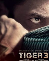 Phim Tiger 3 data-eio=